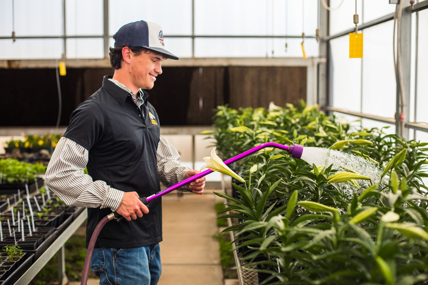 A student waters plants in the school greenhouse program